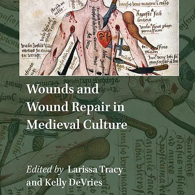 WOUNDS AND WOUND REPAIR IN MEDIEVAL CULTURE primary image